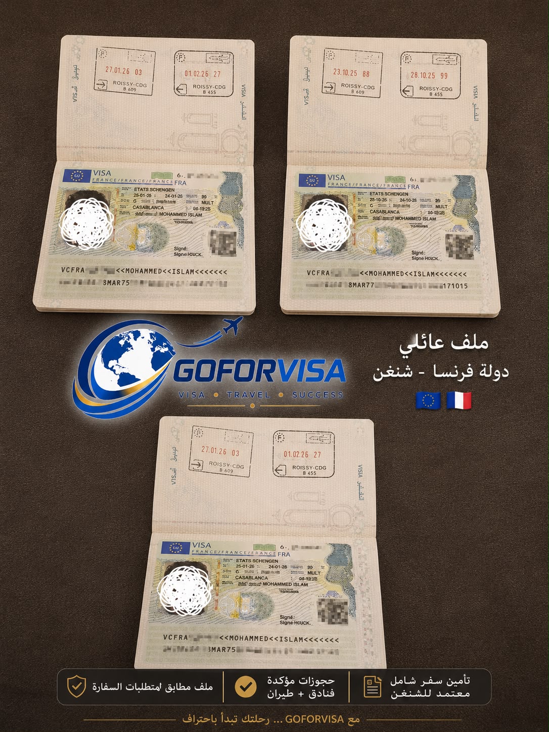 تأشيرة الدنمارك المقبولة لعملائنا